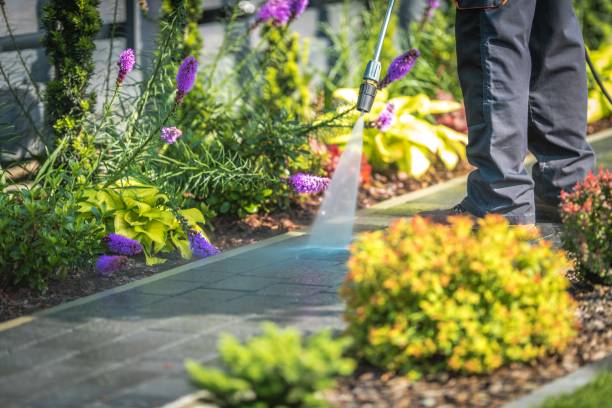Best House Exterior Washing  in Pequot Lakes, MN
