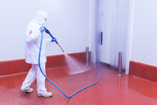 Best Paint Preparation  in Pequot Lakes, MN